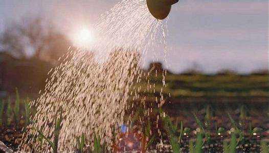 農(nóng)業(yè)用消泡劑應用場景 農(nóng)業(yè)用消泡劑應用場景